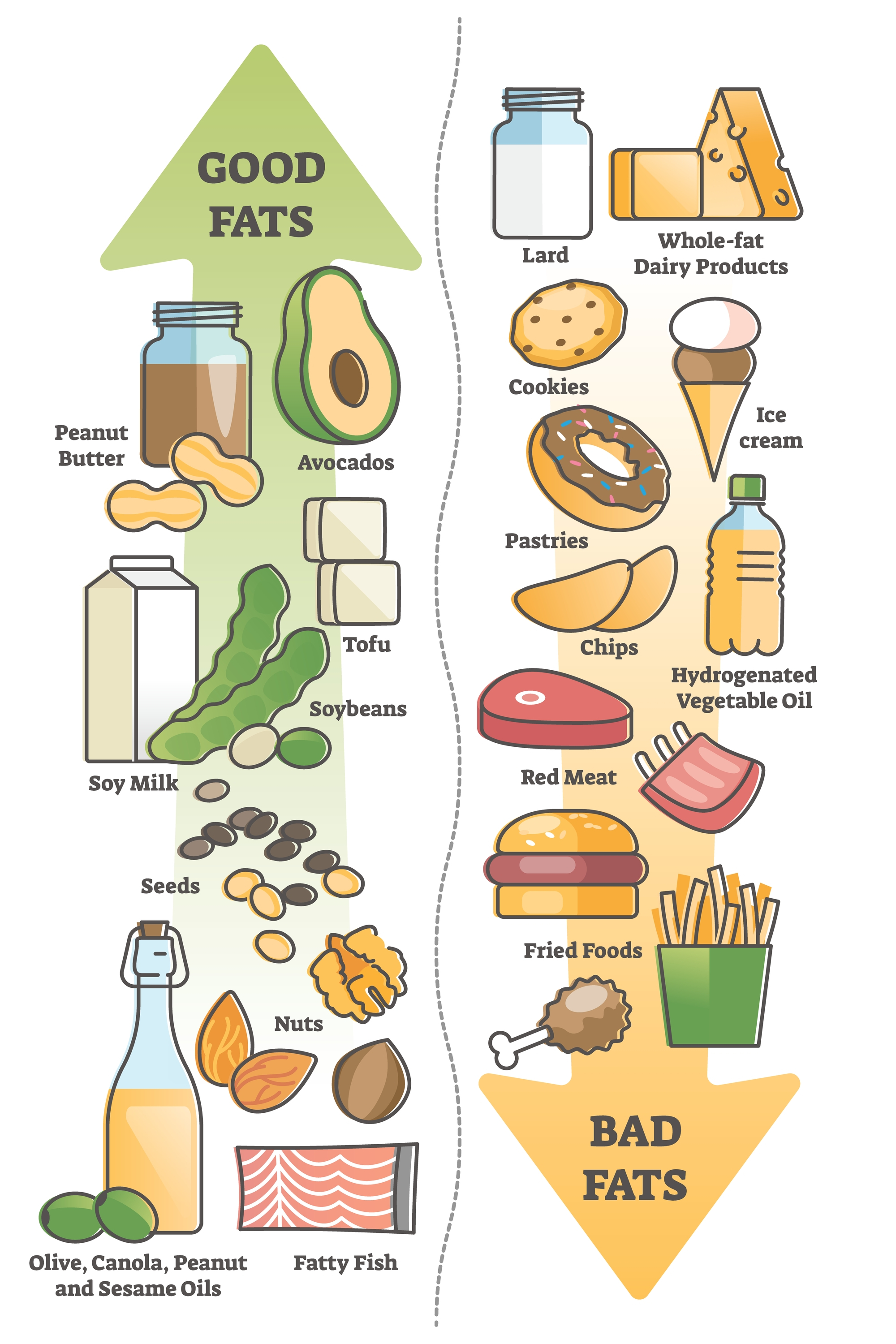 good-fats-vs-bad-fats-what-are-they-1020-wellness